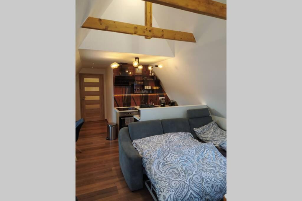 קרלובי וארי Apartman Atelier Vary V Nove Zrekonstruovanem Dome מראה חיצוני תמונה
