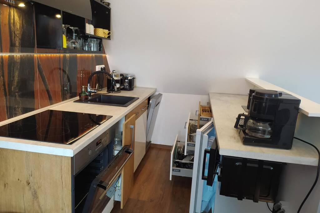 קרלובי וארי Apartman Atelier Vary V Nove Zrekonstruovanem Dome מראה חיצוני תמונה