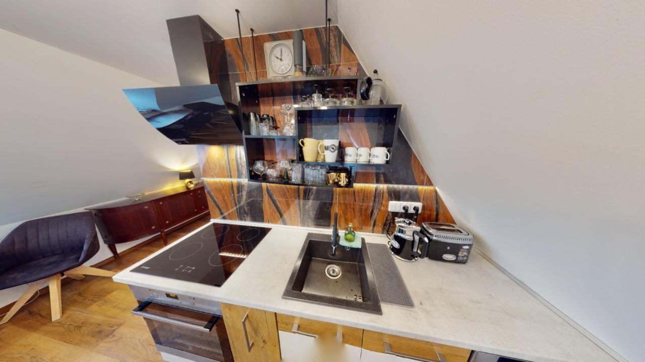 קרלובי וארי Apartman Atelier Vary V Nove Zrekonstruovanem Dome מראה חיצוני תמונה